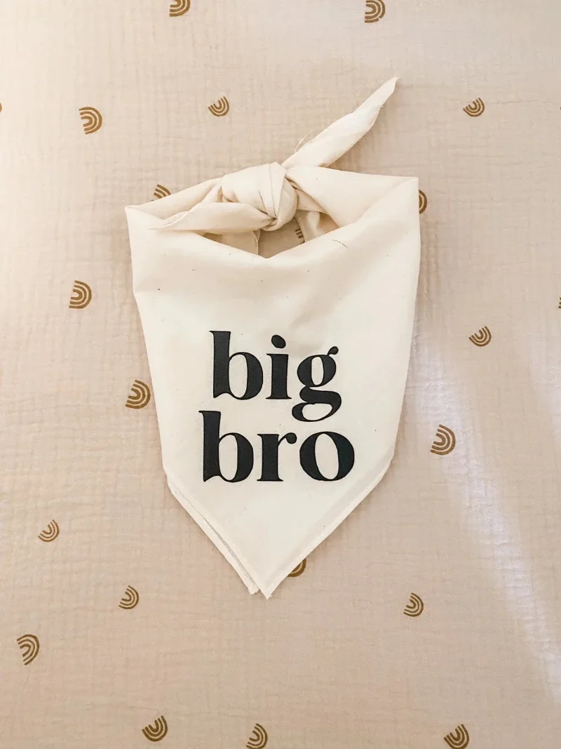 Bandana Big Bro Sis Gros Chien