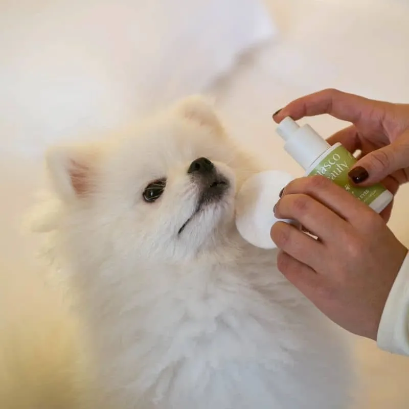 NETTOYANT POUR LES YEUX POWER EYES POUR CHIEN ET CHAT