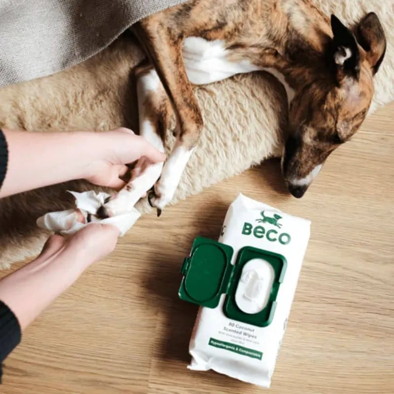 LINGETTES NETTOYANTES EN BAMBOU POUR CHIEN - PARFUM COCO (2 FORMATS)