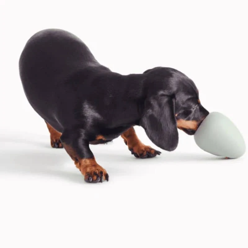 JOUET D’OCCUPATION À REMPLIR POUR CHIEN - BOREDOM BUSTER
