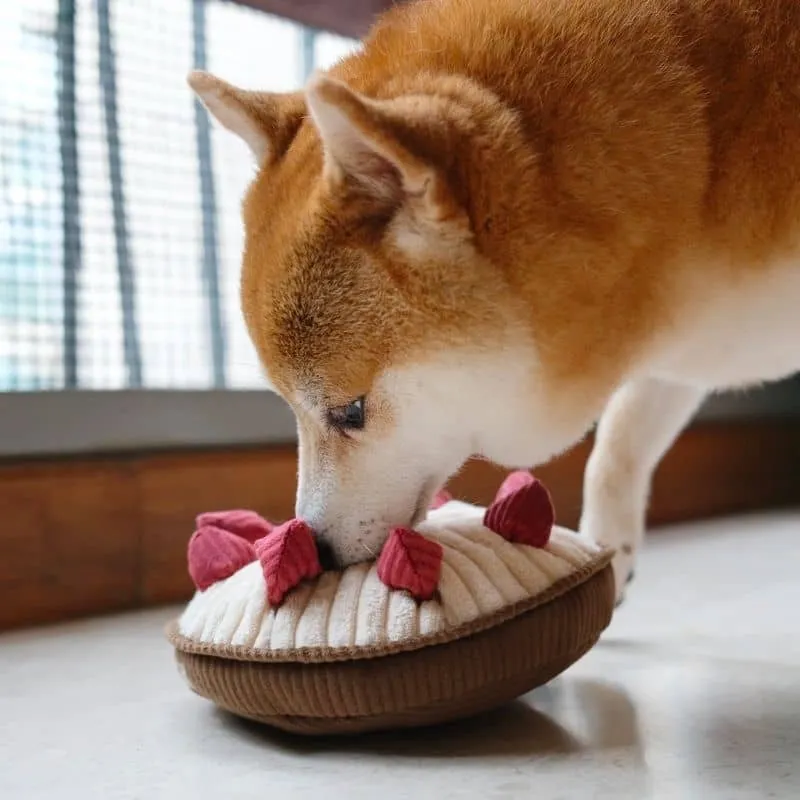 JEU D’OCCUPATION ET DE FOUILLE POUR CHIEN - "BERRY PIE" TARTE FRAMBOISES 🥧