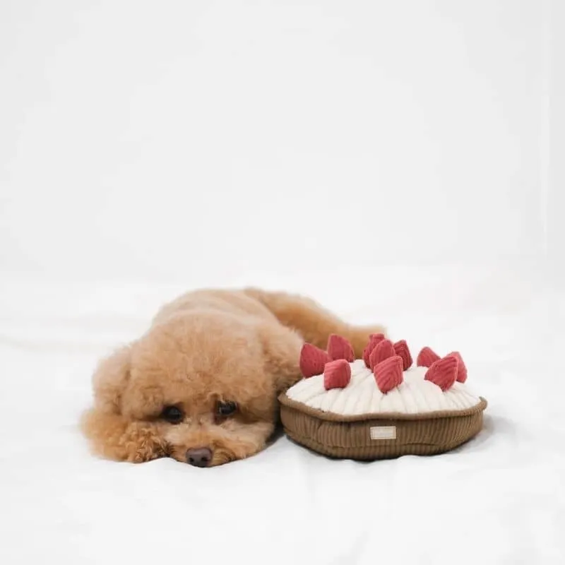 JEU D’OCCUPATION ET DE FOUILLE POUR CHIEN - "BERRY PIE" TARTE FRAMBOISES 🥧