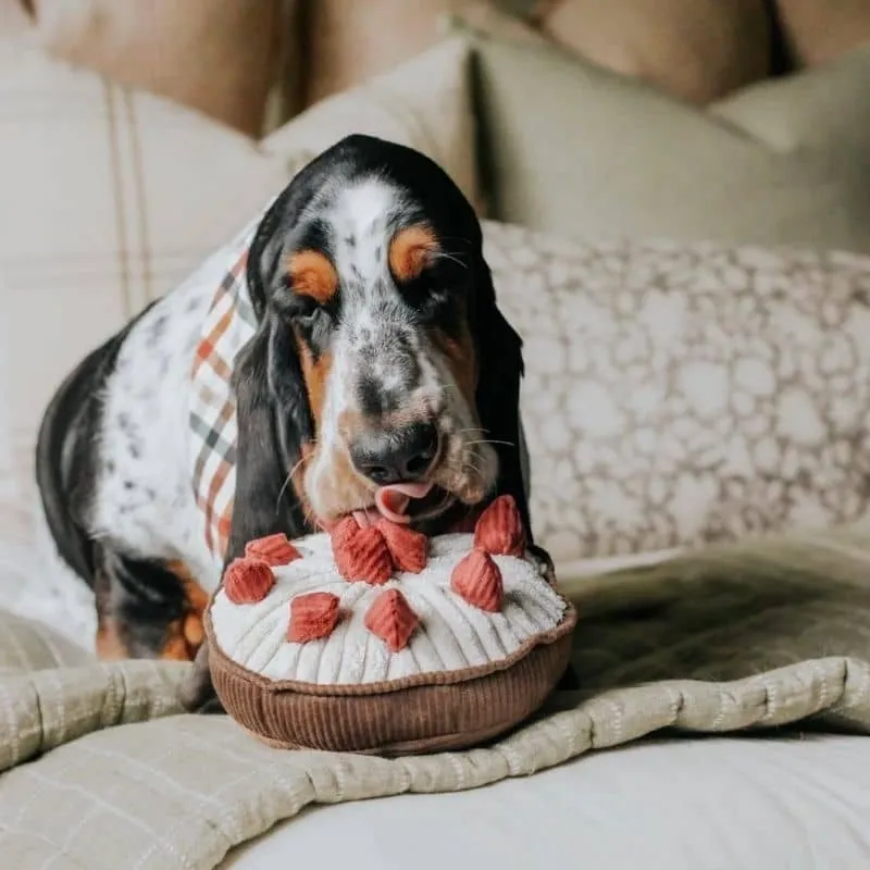 JEU D’OCCUPATION ET DE FOUILLE POUR CHIEN - "BERRY PIE" TARTE FRAMBOISES 🥧