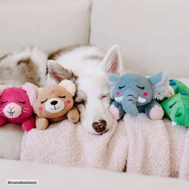 PELUCHE SILENCIEUSE POUR CHIEN - CROCODILE 🐊