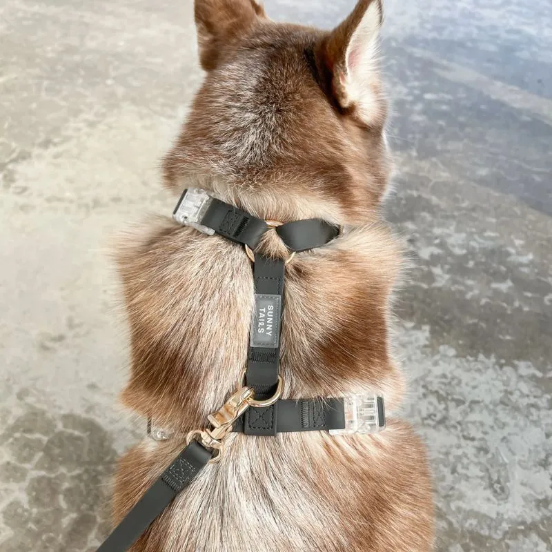 HARNAIS POUR CHIEN WATERPROOF - NOIR *BOUCLES TRANSPARENTES*