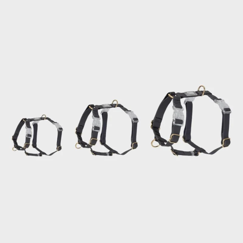 HARNAIS POUR CHIEN WATERPROOF - NOIR *BOUCLES TRANSPARENTES*
