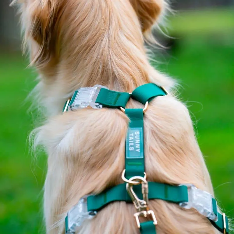 HARNAIS POUR CHIEN WATERPROOF - VERT *BOUCLES TRANSPARENTES*