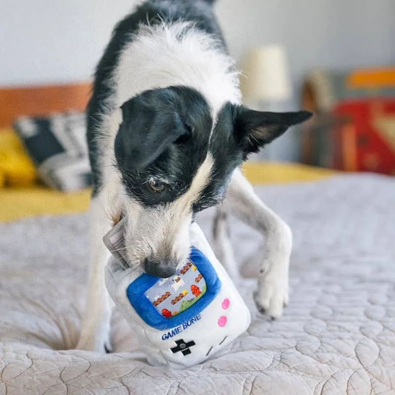 PELUCHE POUR CHIEN - GAME BOY 👾