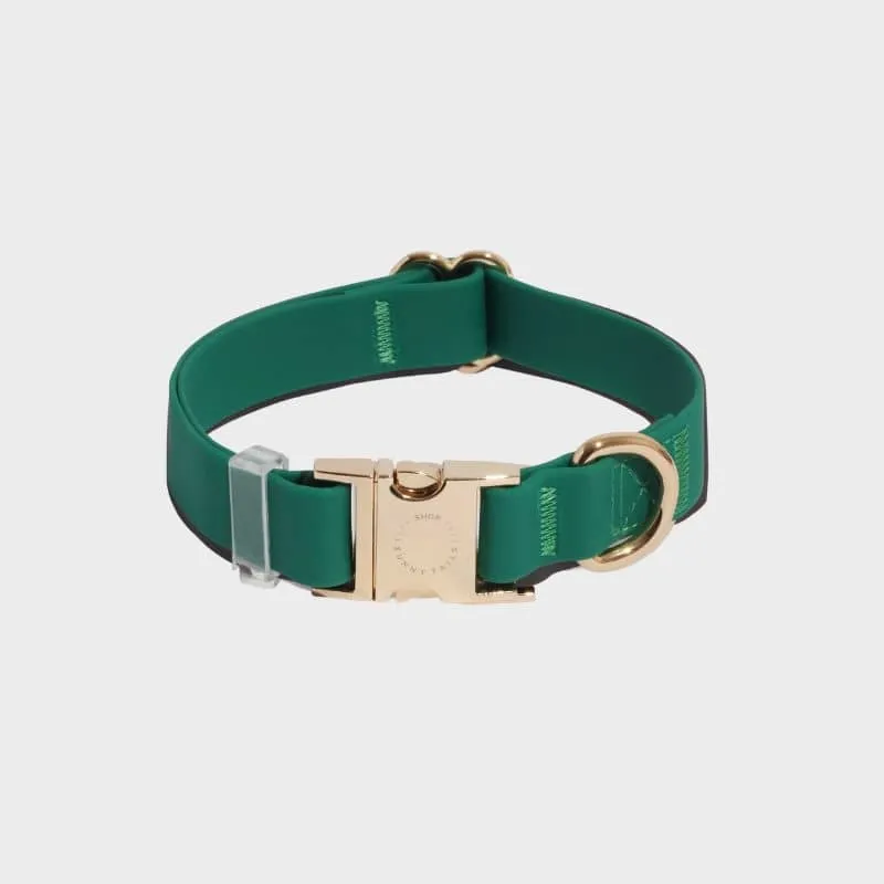 COLLIER POUR CHIEN WATERPROOF - VERT