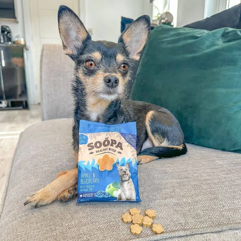 FRIANDISES D'ÉDUCATION POUR CHIEN - POMME ET MYRTILLE