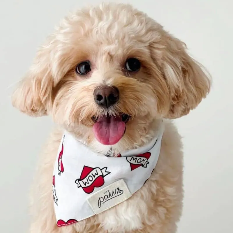 BANDANA POUR CHIEN - LOVE MOM ❤️