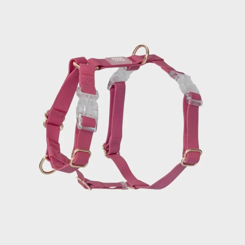 HARNAIS POUR CHIEN WATERPROOF - FRAMBOISE *BOUCLES TRANSPARENTES*