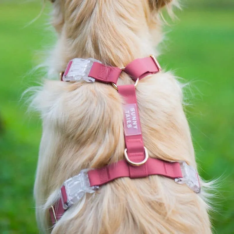 HARNAIS POUR CHIEN WATERPROOF - FRAMBOISE *BOUCLES TRANSPARENTES*