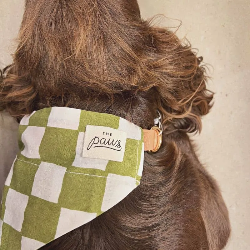 BANDANA POUR CHIEN À GLISSER SUR COLLIER - CHECKMATE VERT