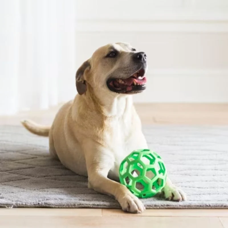 BALLE RÉSISTANTE ET INTERACTIVE POUR CHIEN - JW HOL-EE ROLLER (2 TAILLES DISPO)