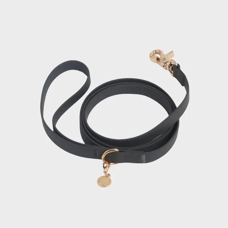 LAISSE POUR CHIEN WATERPROOF - NOIR