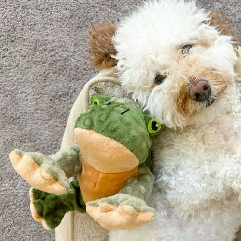 PELUCHE QUI BOUGE POUR CHIEN - GRENOUILLE 🐸