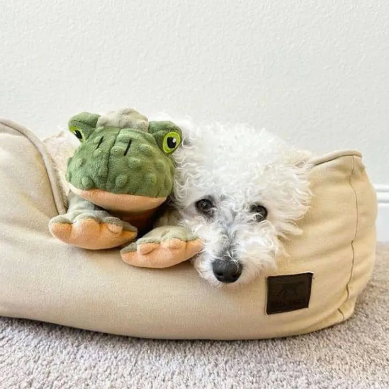 PELUCHE QUI BOUGE POUR CHIEN - GRENOUILLE 🐸