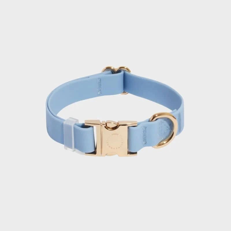 COLLIER POUR CHIEN WATERPROOF - BLEU CIEL