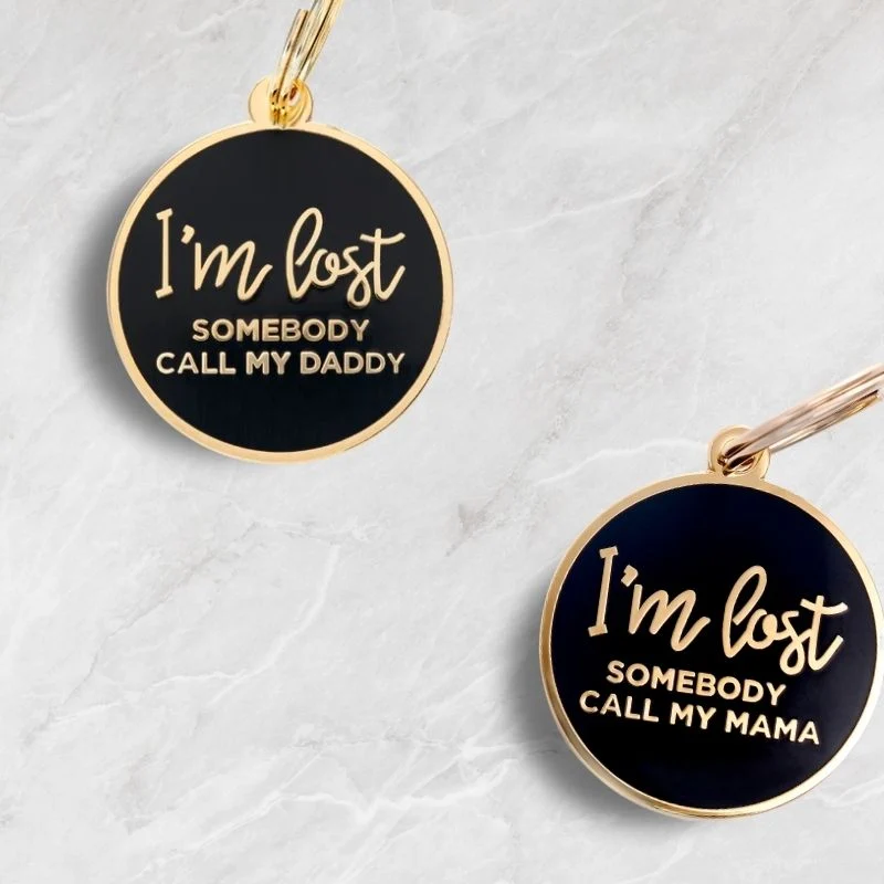 MÉDAILLE POUR CHIEN - I'M LOST SOMEBODY CALL MY DADDY 😱