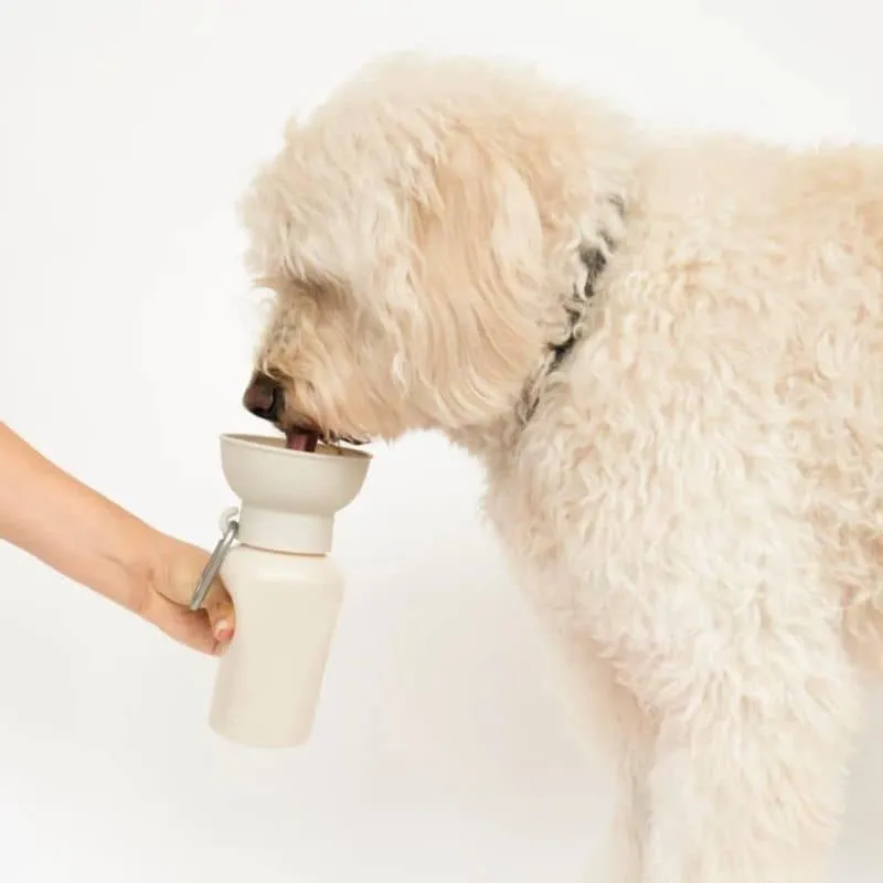 GOURDE PORTABLE POUR CHIEN AVEC DISTRIBUTEUR D'EAU RÉTRACTABLE - 590ML (4 COULEURS DISPO)