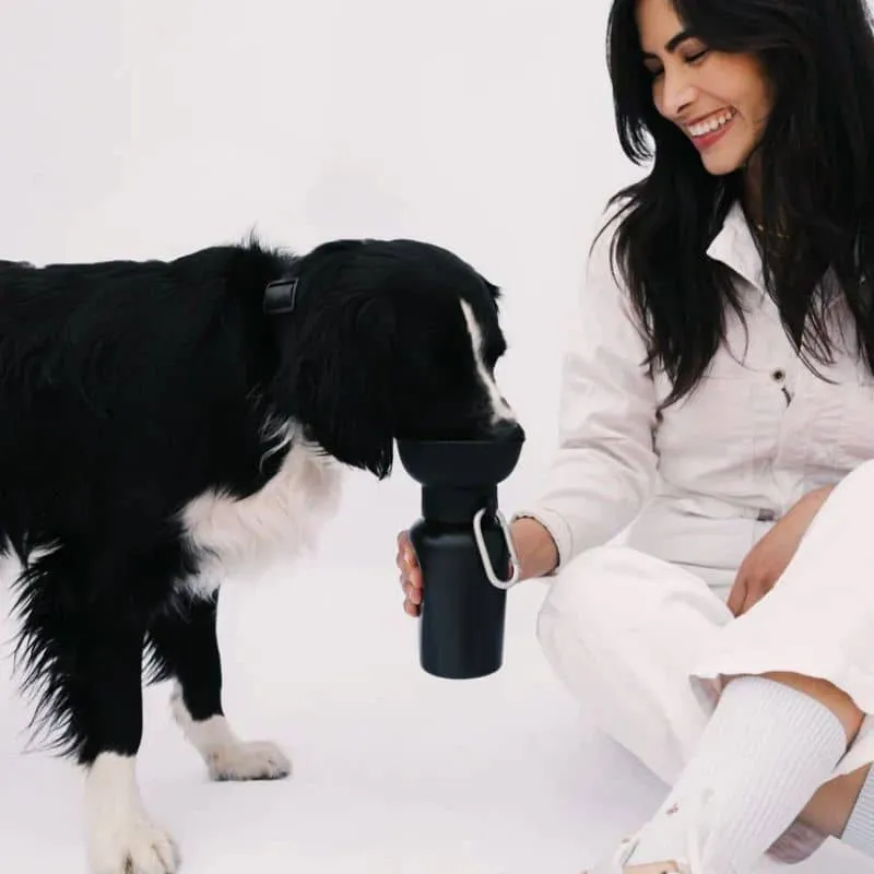 GOURDE PORTABLE POUR CHIEN AVEC DISTRIBUTEUR D'EAU RÉTRACTABLE - 590ML (4 COULEURS DISPO)