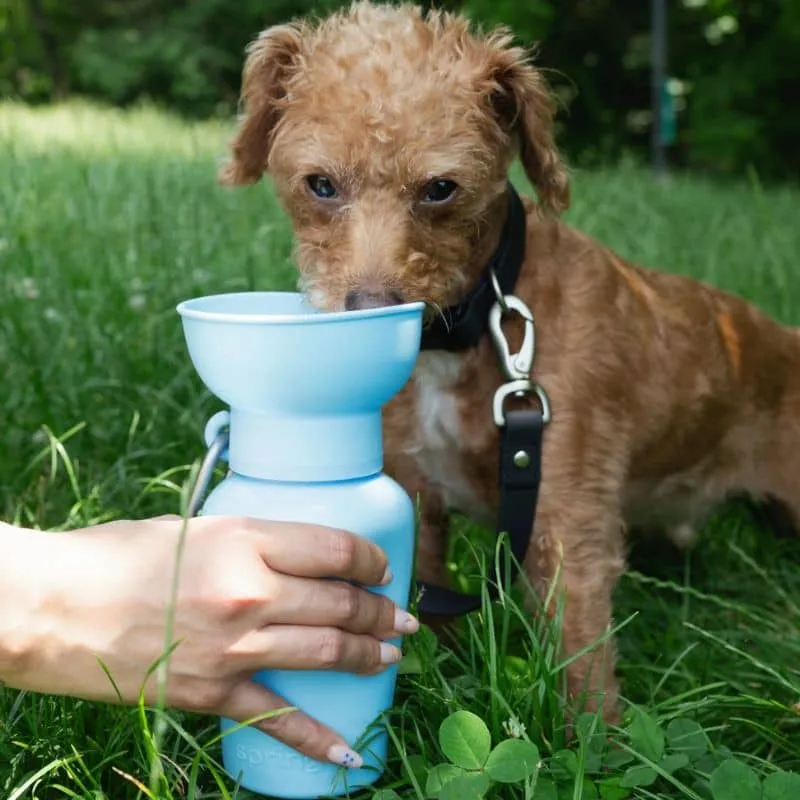 GOURDE PORTABLE POUR CHIEN AVEC DISTRIBUTEUR D'EAU RÉTRACTABLE - 590ML (4 COULEURS DISPO)