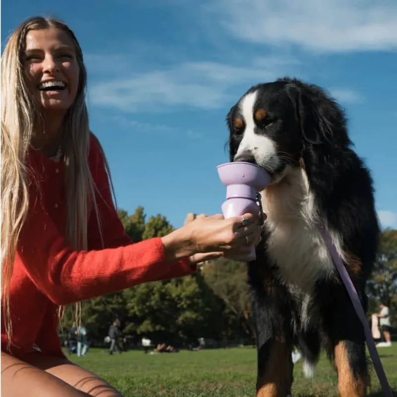 GOURDE PORTABLE POUR CHIEN AVEC DISTRIBUTEUR D'EAU RÉTRACTABLE - 590ML (4 COULEURS DISPO)