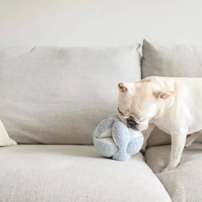 JEU D’OCCUPATION ET DE FOUILLE POUR CHIEN - "MONTI" BLEU