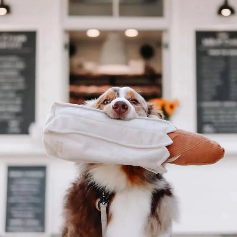 JEU D’OCCUPATION ET DE FOUILLE POUR CHIEN - BAGUETTE 🥖