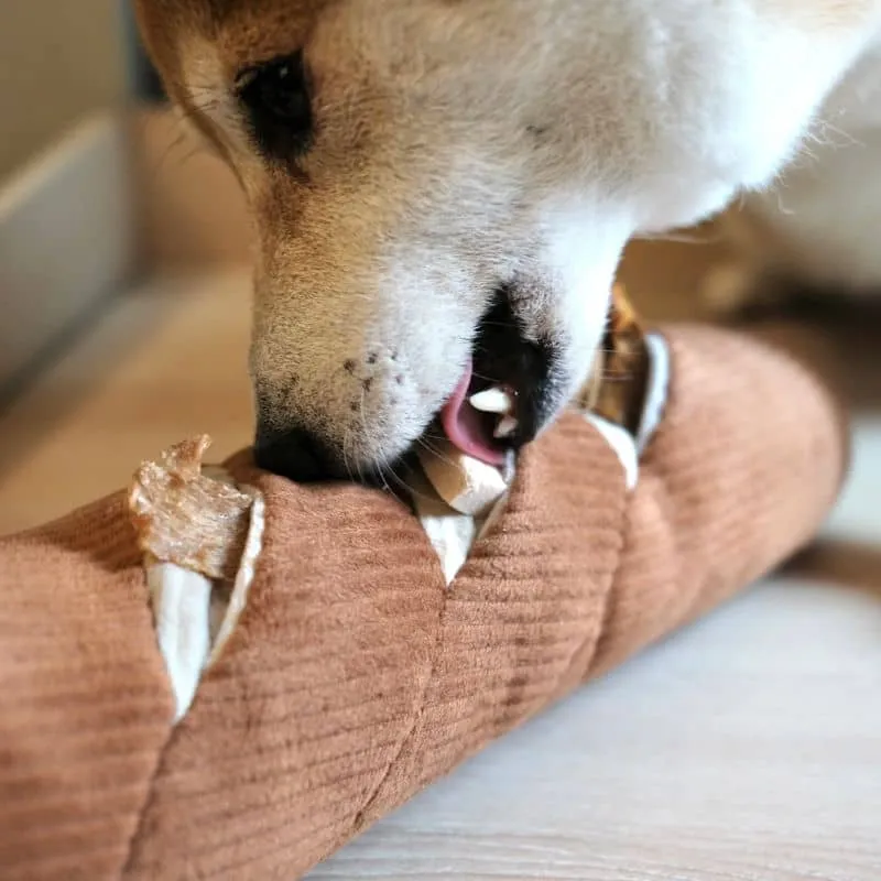 JEU D’OCCUPATION ET DE FOUILLE POUR CHIEN - BAGUETTE 🥖