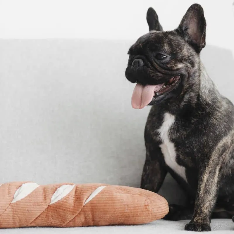 JEU D’OCCUPATION ET DE FOUILLE POUR CHIEN - BAGUETTE 🥖