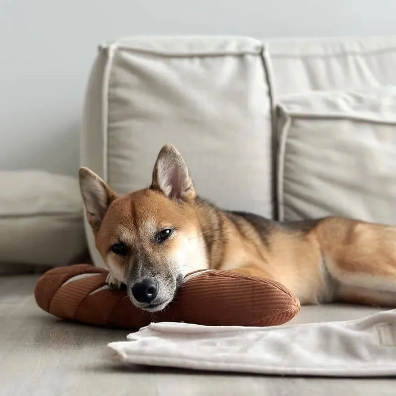 JEU D’OCCUPATION ET DE FOUILLE POUR CHIEN - BAGUETTE 🥖