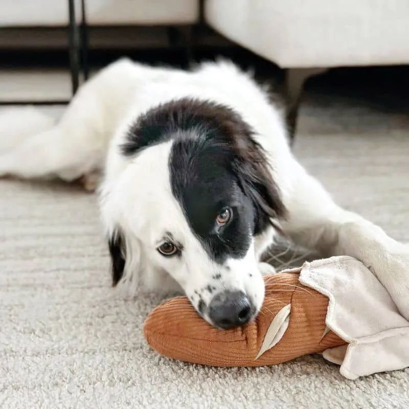 JEU D’OCCUPATION ET DE FOUILLE POUR CHIEN - BAGUETTE 🥖