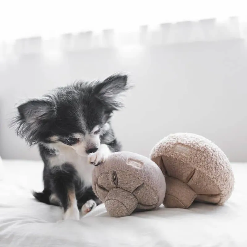 JEU D’OCCUPATION ET DE FOUILLE POUR CHIEN OU CHAT - "GUU" CHAMPIGNON (2 TAILLES DISPO) 🍄