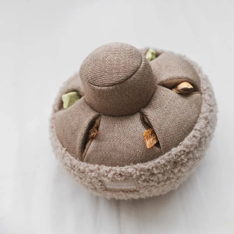 JEU D’OCCUPATION ET DE FOUILLE POUR CHIEN OU CHAT - "GUU" CHAMPIGNON (2 TAILLES DISPO) 🍄