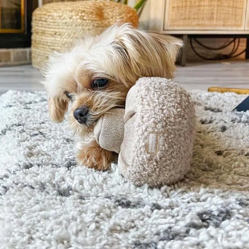 JEU D’OCCUPATION ET DE FOUILLE POUR CHIEN OU CHAT - "GUU" CHAMPIGNON (2 TAILLES DISPO) 🍄