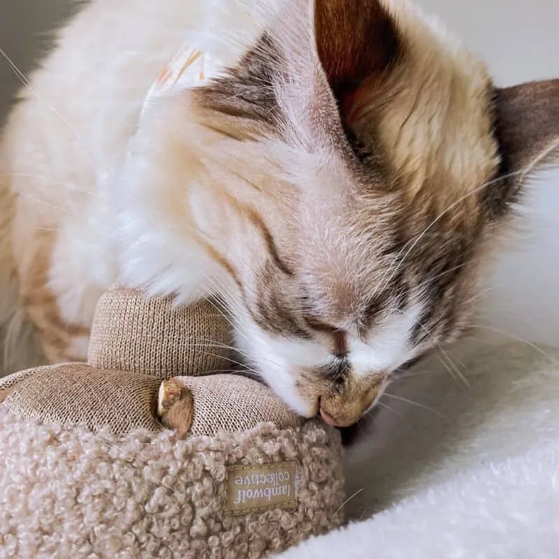 JEU D’OCCUPATION ET DE FOUILLE POUR CHIEN OU CHAT - "GUU" CHAMPIGNON (2 TAILLES DISPO) 🍄