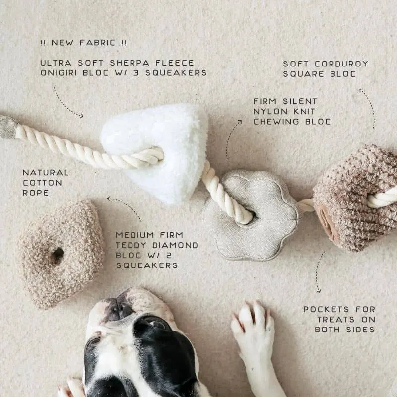 JOUET INTERACTIF NOSEWORK AVEC CORDE POUR CHIEN - "BLOCS"