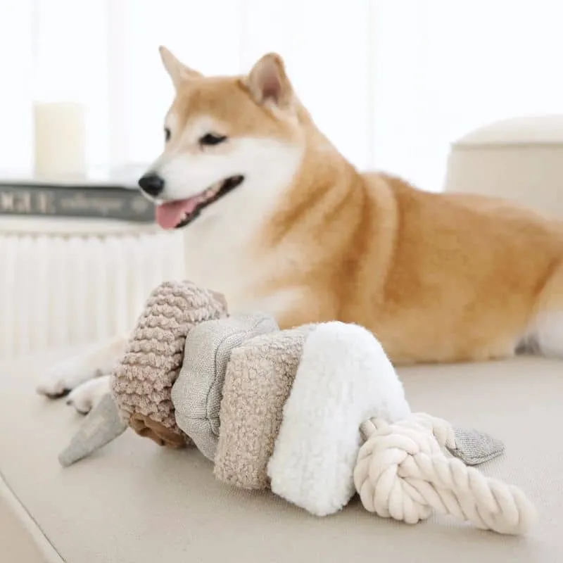 JOUET INTERACTIF NOSEWORK AVEC CORDE POUR CHIEN - "BLOCS"