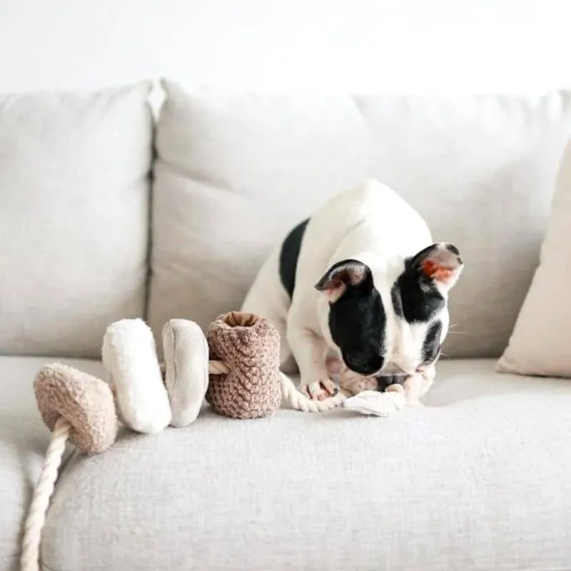 JOUET INTERACTIF NOSEWORK AVEC CORDE POUR CHIEN - "BLOCS"