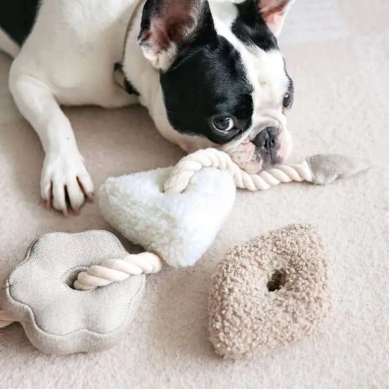 JOUET INTERACTIF NOSEWORK AVEC CORDE POUR CHIEN - "BLOCS"
