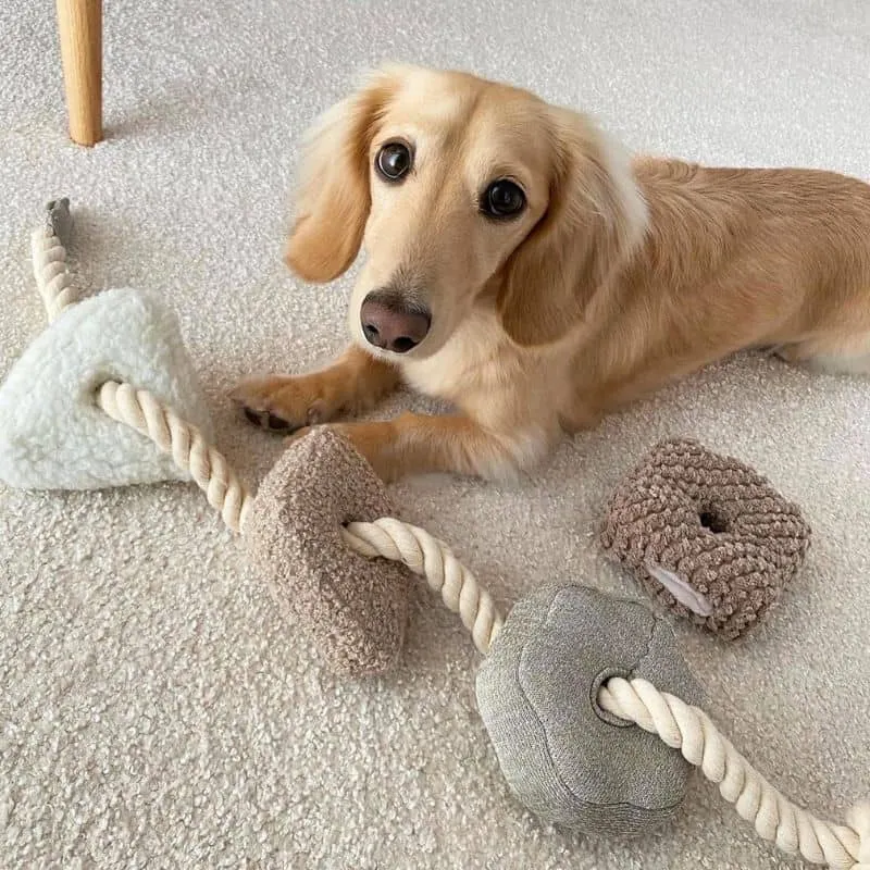 JOUET INTERACTIF NOSEWORK AVEC CORDE POUR CHIEN - "BLOCS"