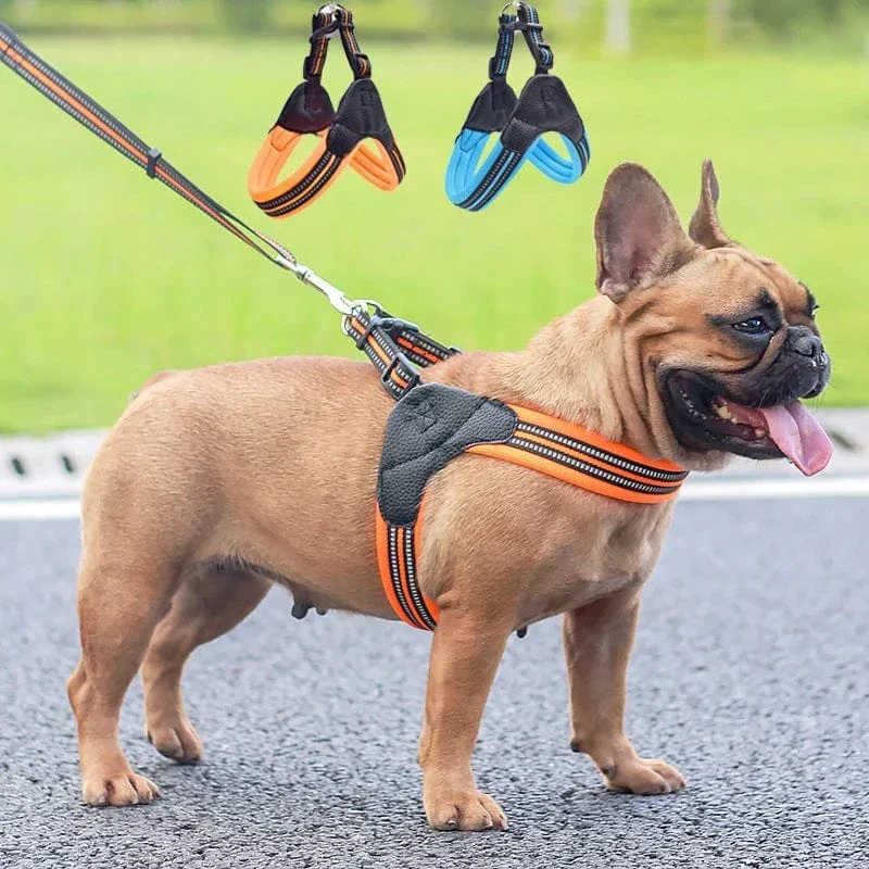 Harnais Anti-Traction Réfléchissant Gros Chien