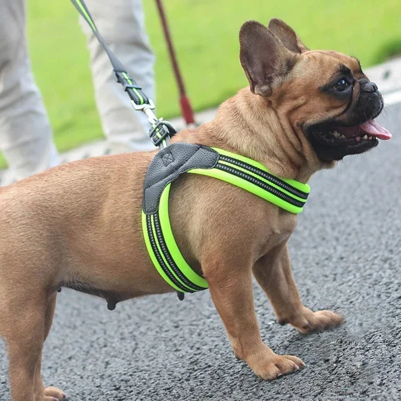 Harnais Anti-Traction Réfléchissant Gros Chien