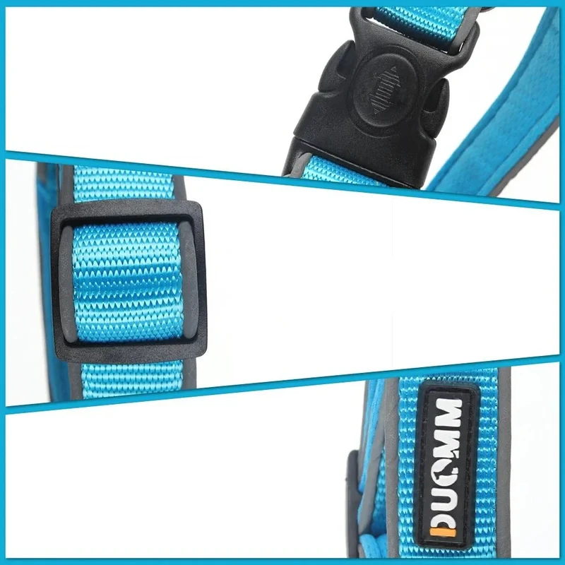 Collier Semi-Étrangleur Anti-Fugue Gros Chien