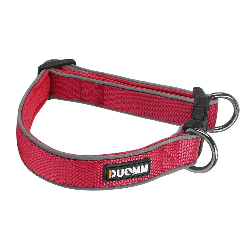 Collier Semi-Étrangleur Anti-Fugue Gros Chien