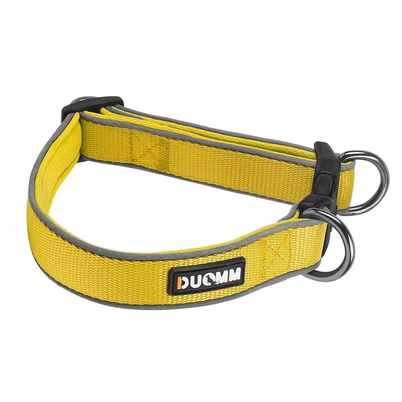 Collier Semi-Étrangleur Anti-Fugue Gros Chien