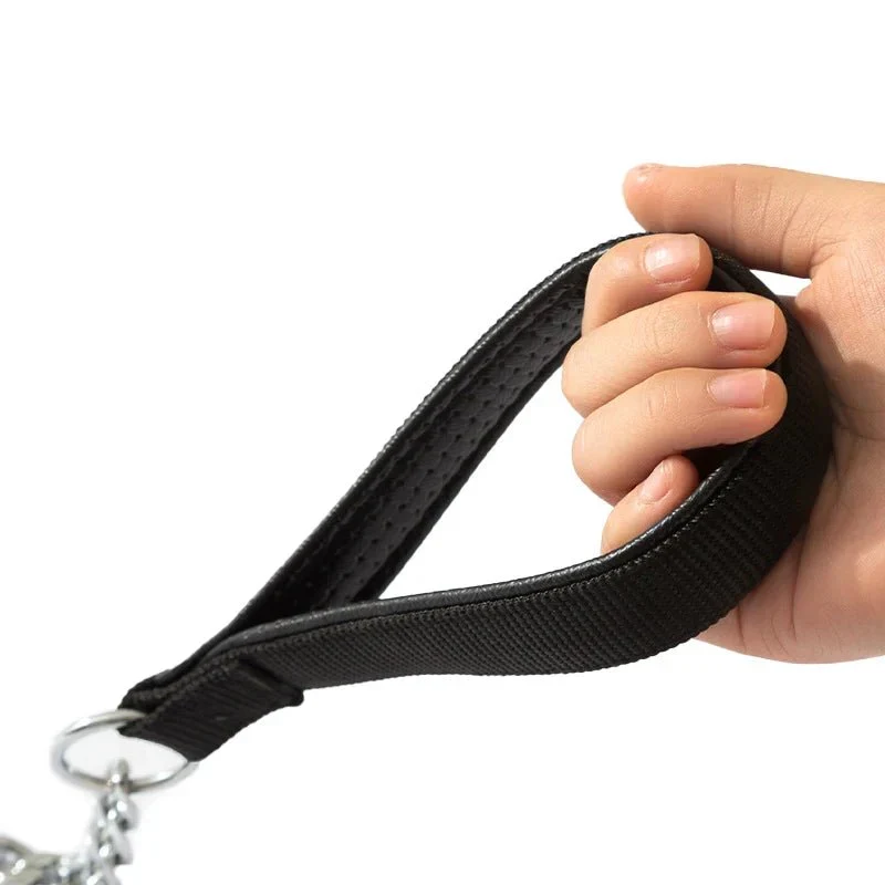Laisse Acier Gainé 120cm Gros Chien Pro