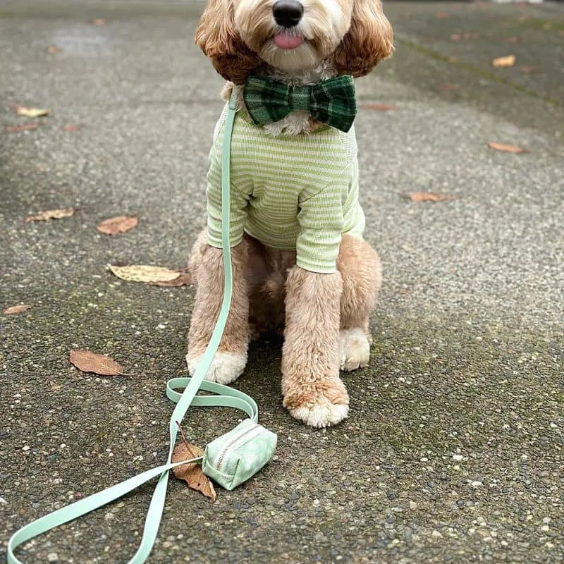 LAISSE POUR CHIEN WATERPROOF - PISTACHE